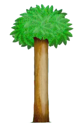 arbol3